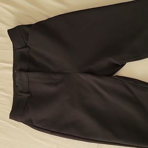 Express Dress Pants